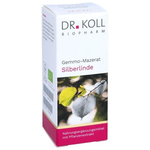 GEMMO-MAZERAT Silberlinde Dr.Koll Tilia tomen.Tro. Produktbild