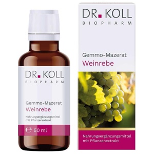 GEMMO-MAZERAT Weinrebe Dr.Koll Vitis vinifera Tro. Produktbild