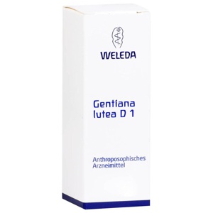 GENTIANA LUTEA D 1 Dilution Produktbild