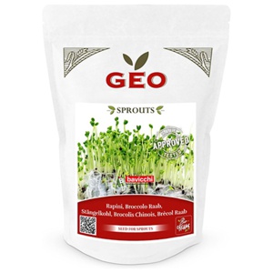 GEO Broccolifrø ØKO 300 g produktbillede