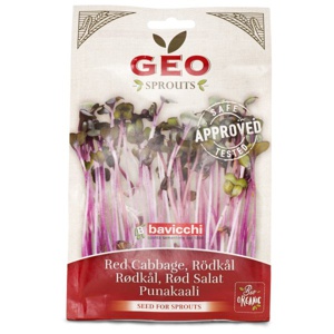 GEO Rødkålsfrø ØKO 12 g produktbillede