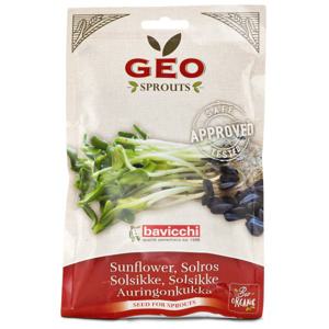GEO Solrosfrö EKO 80 g produkt bild