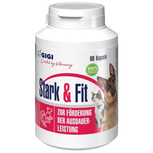 GIGI VET Stark & Fit fÃ¼r Hunde und Katzen N90 Produktbild