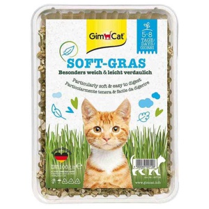 Gimpet Soft Gras für Katzen, 100 g n.v. Produktbild