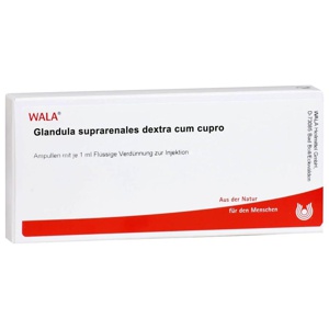 GLANDULA SUPRARENALES dextra cum Cupro Ampullen Produktbild