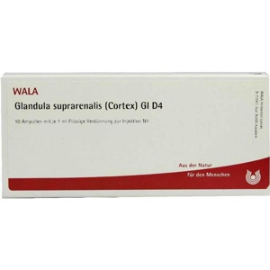 GLANDULA SUPRARENALIS cortex GL D 4 Ampullen Produktbild