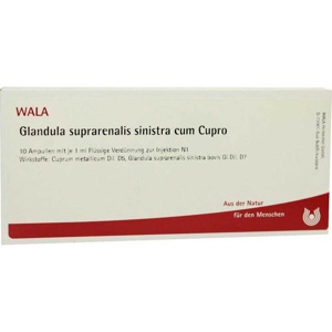 GLANDULA SUPRARENALIS sinistra cum Cupro Ampullen Produktbild