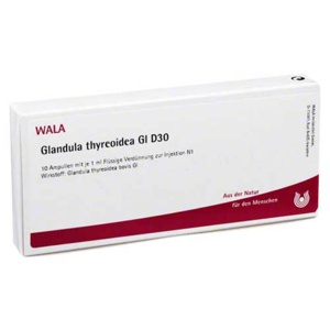 GLANDULA THYREOIDEA GL D 30 Ampullen Produktbild