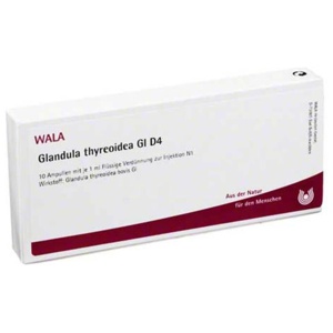 GLANDULA THYREOIDEA GL D 4 Ampullen Produktbild