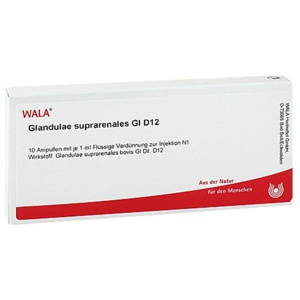 GLANDULAE SUPRARENALES GL D 12 Ampullen Produktbild