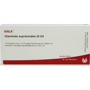 GLANDULAE SUPRARENALES GL D 4 Ampullen Produktbild