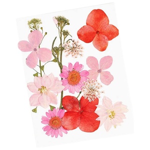 Glitternisti Face Flowers Pink & Greens produktbilde