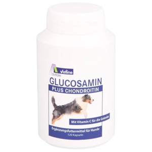 GLUCOSAMIN+CHONDROITIN Kapseln f.Hunde Produktbild