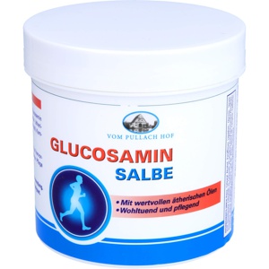 GLUCOSAMIN SALBE 250 ml Salbe Produktbild