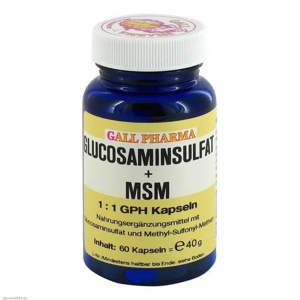 Glucosaminsulfat + MSM 1:1 Kapseln, 60 St Kapseln Produktbild