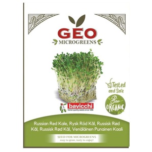 Grönkål Red Russian Microgreens Ekologisk 15g produkt bild