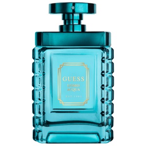 Guess Uomo Acqua Eau de Toilette 100ml produktbillede