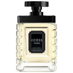 Guess Uomo Eau de Toilette 100ml produktbillede