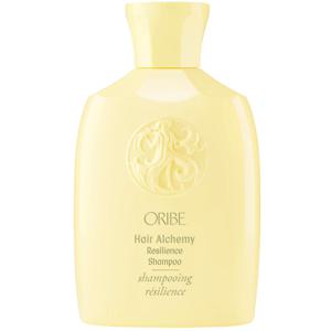 Hair Alchemy Resilience Shampoo 250 ml produkt bild