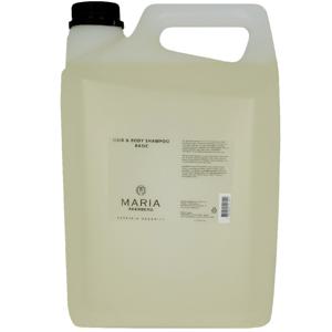 Hair Body Shampo Bas 5 L produkt bild