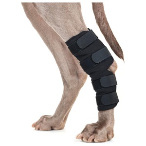 Back on Track Hundhasskydd 2 st L produkt bild