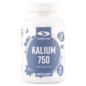 Healthwell Kalium 750 90 kaps produkt bild