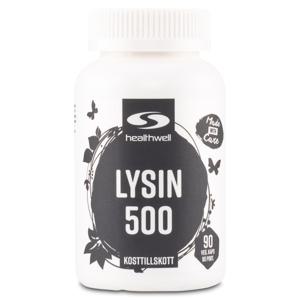 Healthwell Lysin 500 90 kaps produkt bild