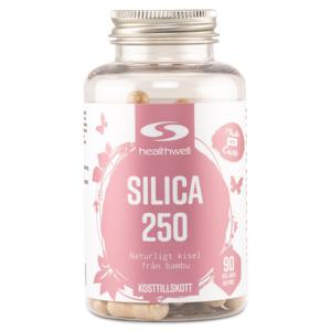 Healthwell Silica 250 90 kaps produkt bild