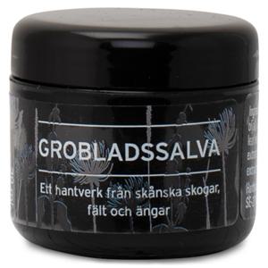Herbasensia Grobladsalva 30 ml produkt bild