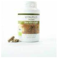 HERICIUM BIO Pulver Kapseln Produktbild