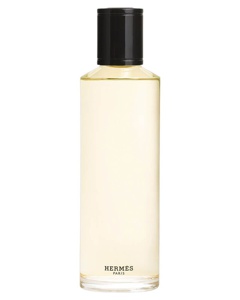 Hermès Terre d’Hermès Eau de Parfum Intense Refill EDP 200 ml Produktbild