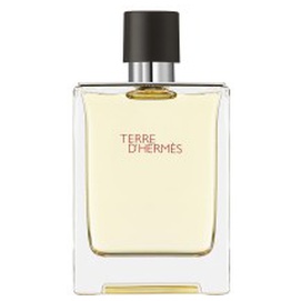 Terre d'Hermès Eau de Toilette 100 ml produktbillede