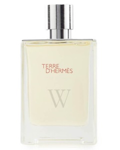 Hermès Terre d'Hermès Eau Givrée Refillable Spray EDP 100 ml Produktbild