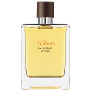Hermes Terre D'Hermès Eau Intense Vetiver 100 ml Produktbild