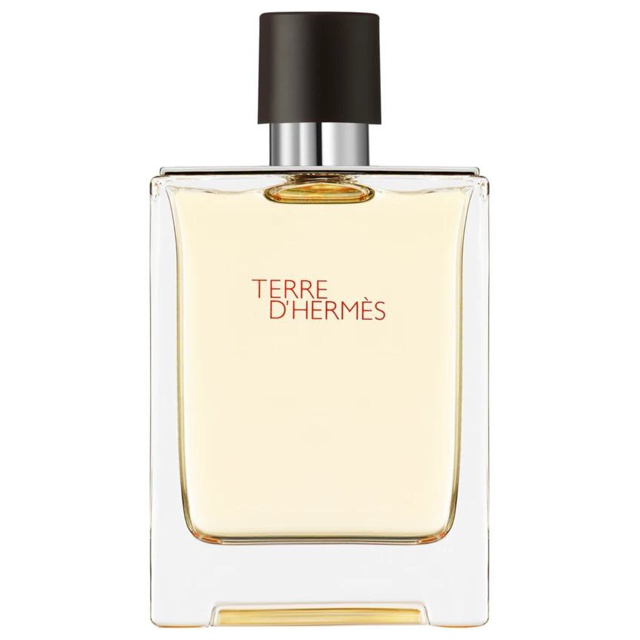 Hermes Terre d'Hermes Edt 100ml