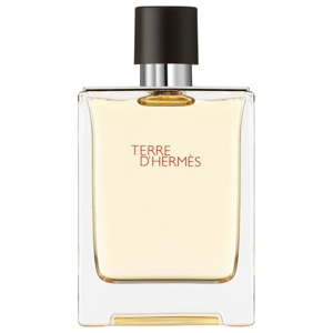 Hermes Terre d'Hermes Edt 100ml produkt bild