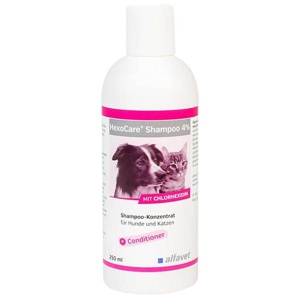Hexocare Shampoo 4% für Hunde und Katzen, 250 ml Shampoo Produktbild