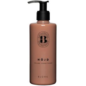 Björk Höjd Conditioner 250ml produkt bild