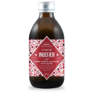 Human Shot Økologisk   Ingefær - 500 ml produktbillede