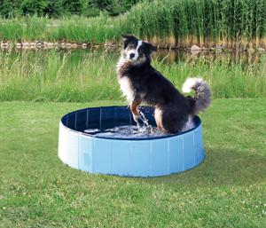 Hundpool Trixie Blå 80x20 cm produkt bild