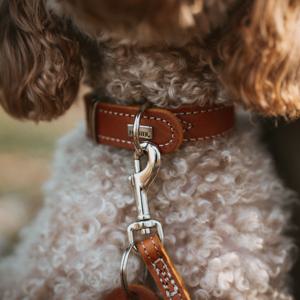 Hunter Aalborg Special Hundhalsband Brun produkt bild