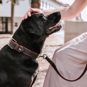 Hunter Canadian UP Hundhalsband Läder Svart (40 cm) produkt bild