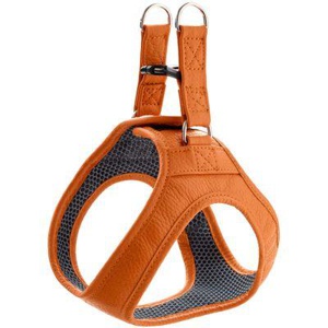 Hunter Geschirr Hilo orange S Produktbild