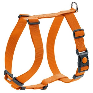 Hunter Geschirr London Vario Rapid, orange Produktbild