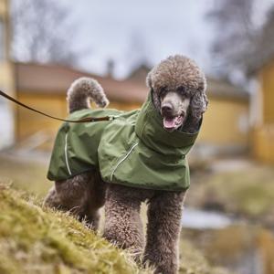 Hurtta Mudventure ECO Regnjacka till Hund Grön (25) produkt bild