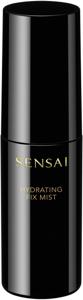 Hydrating Fix Mist 50 ml produkt bild