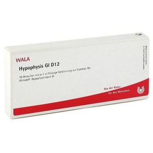 HYPOPHYSIS GL D 12 Ampullen Produktbild