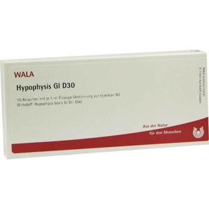 Hypophysis GL D 30 Ampullen, 10X1 ml Ampullen Produktbild