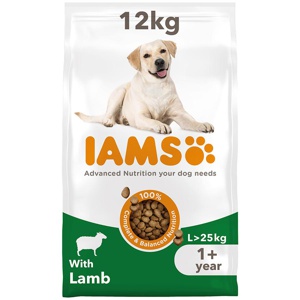 IAMS Advanced Nutrition Adult Large Dog - Lamb product image