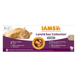 IAMS Advanced Nutrition Senior 7+ Land & Sea Collection in Gelee Produktbild